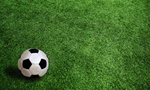 经典熊猫美加墨世界杯在线(经典熊猫美加墨世界杯在线)-第1张图片